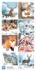 �������� ������ � �������� 15�30 �� ��������� WINTER